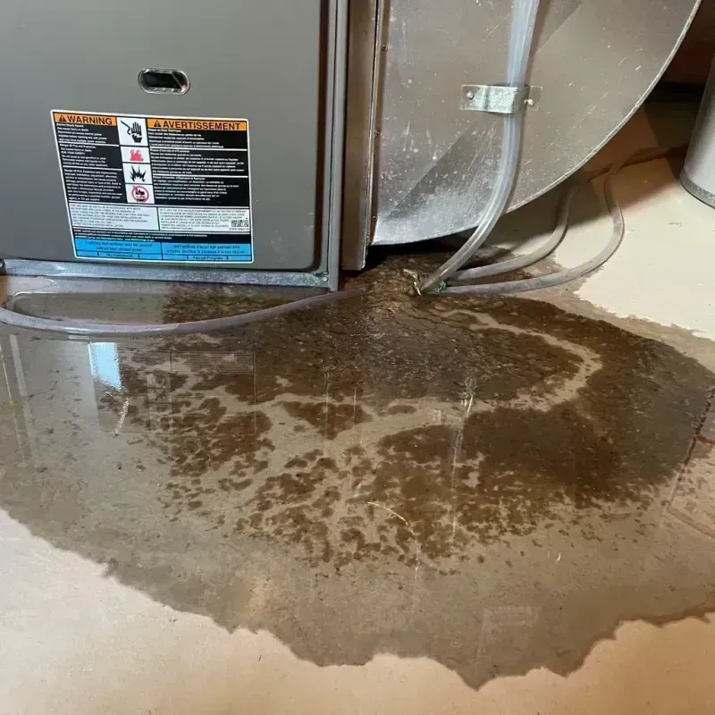 Appliance Leak Cleanup in Camden, SC